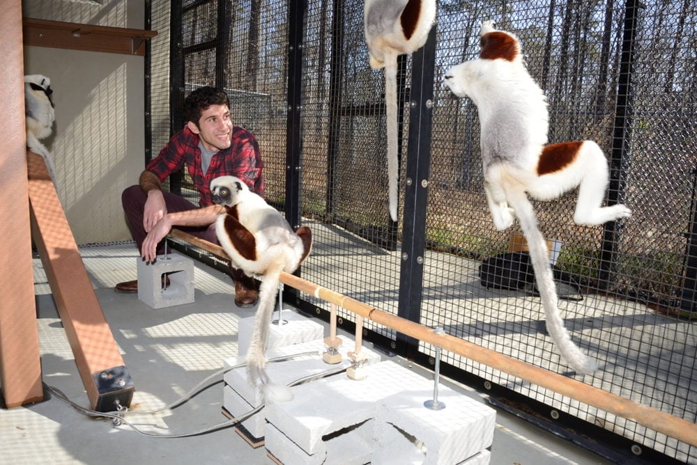 Michael Granatosky at the Duke Lemur Center