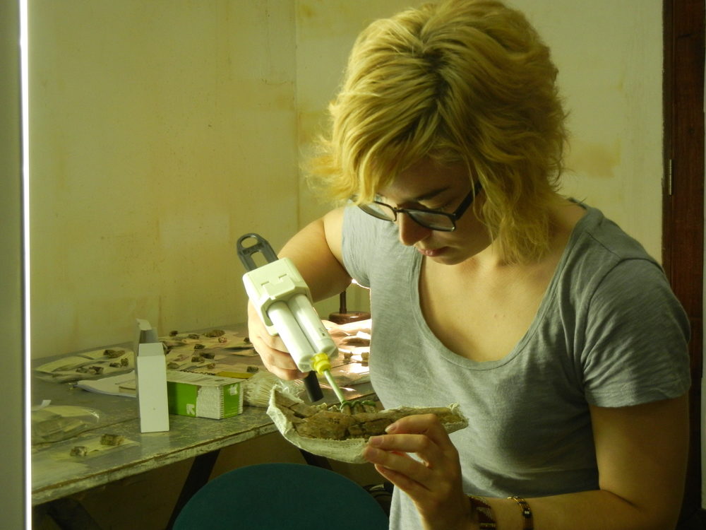 Alia Gurtov molding Parmularius altidens teeth