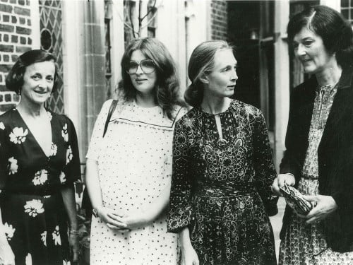 Founding member Joan Travis (left) with "Leakey's Angels" Brute Galdikas, Jane Goodall, and Dian Fossey.