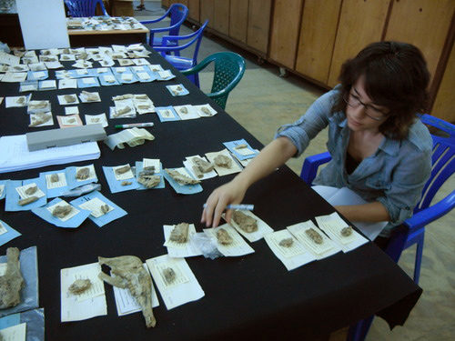 Alia Gurtov, MNI analysis, National Museum of Dar es Salaam, Tanzania