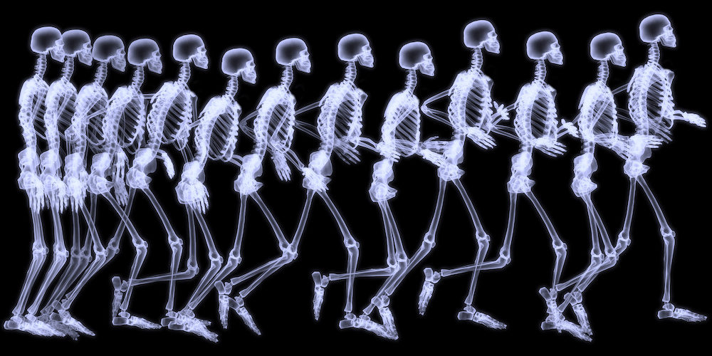 Human skelegon running, radigraphy sequence