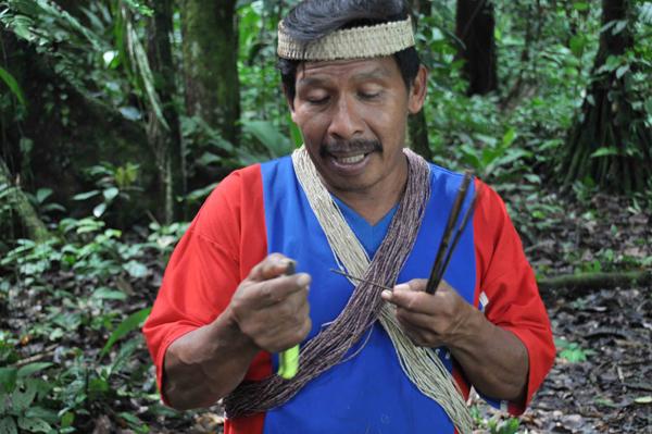 Dispatches from the Amazon - The Leakey Foundation