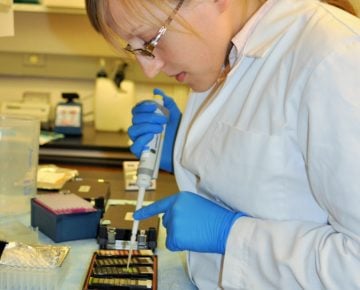 Genevieve Housman loading prepared samples onto DNA methylation arrays