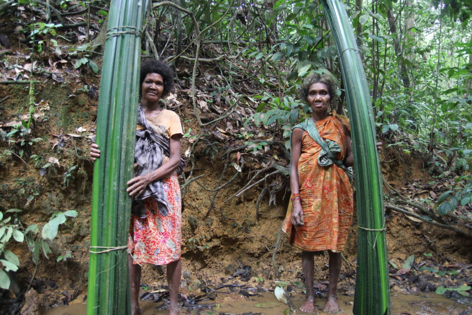 Two Batek women collecting materials to build mats, which they use for sitting and sleeping in their thatch shelters.