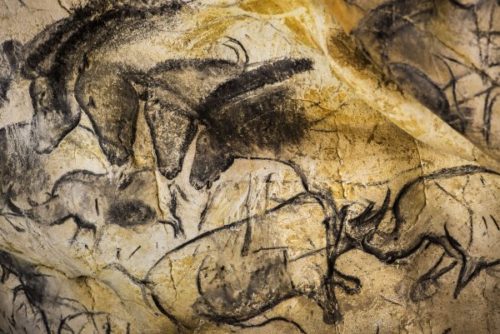 Animal paintings on the wall of Chauvet Cave, France.