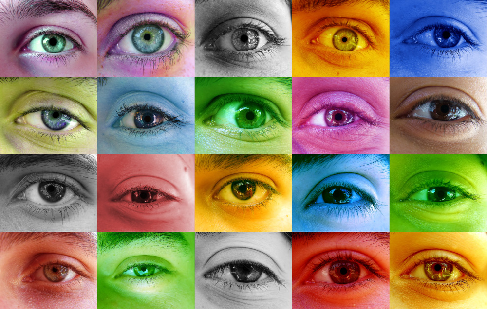 The Leakey Foundation  Why Is Human Color Vision so Odd?