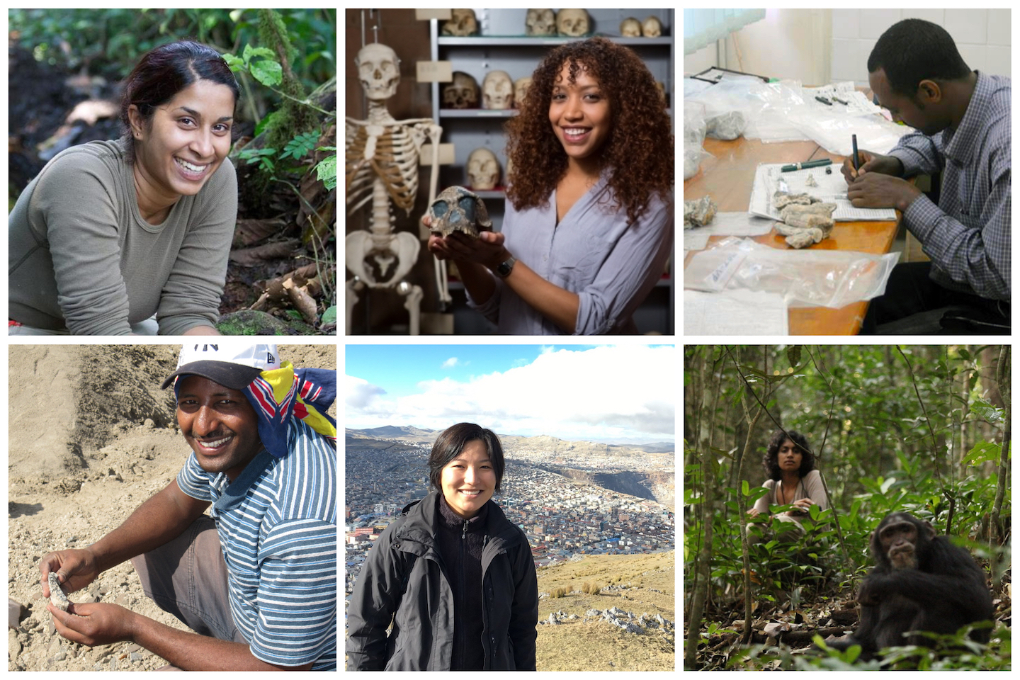 A collage of Lunch Break Science guests showing different human evolution research scientists at field sites and in laboratories.