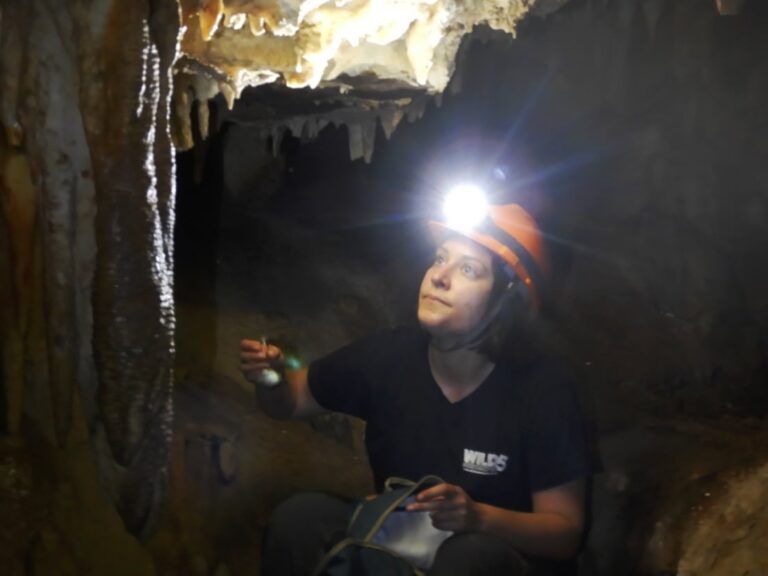 Research Grants The Leakey Foundation