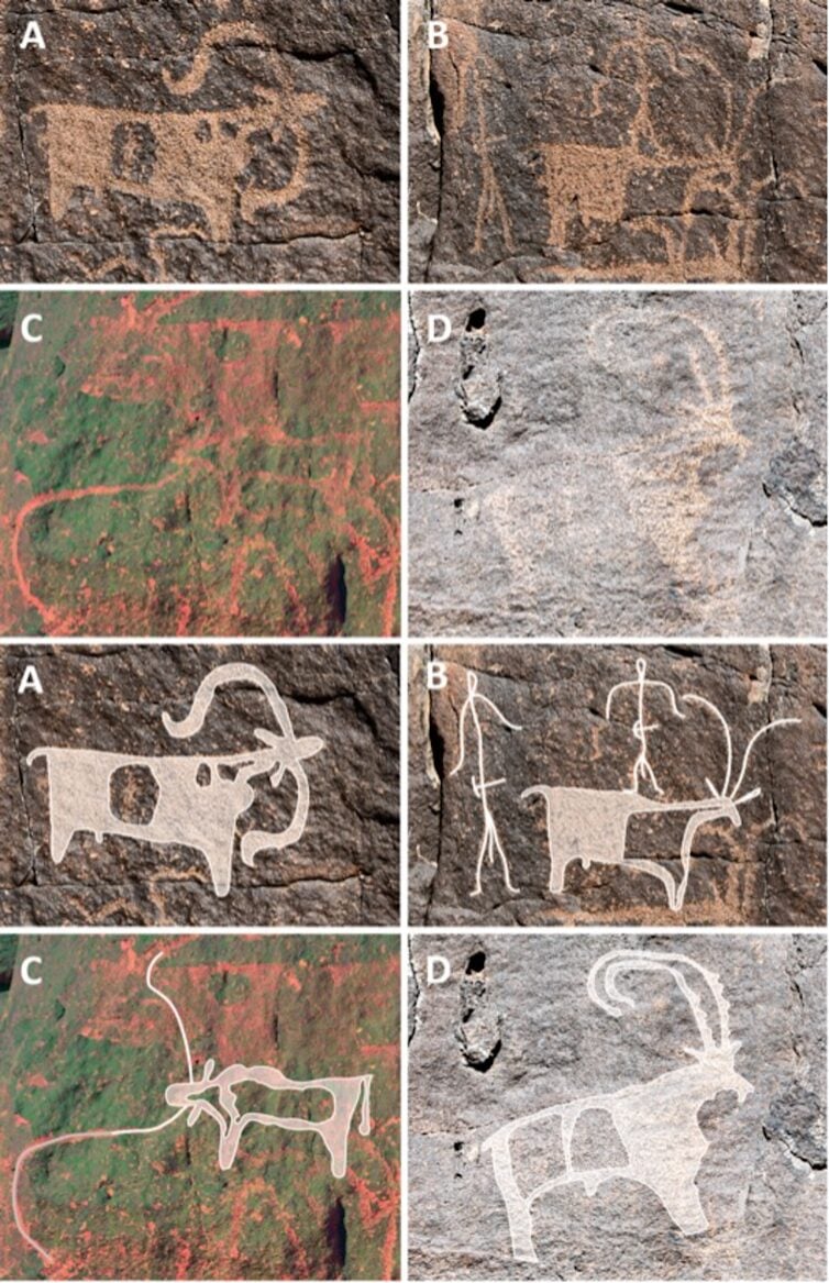 A group of eight photos of rock art, showing various animals and people.