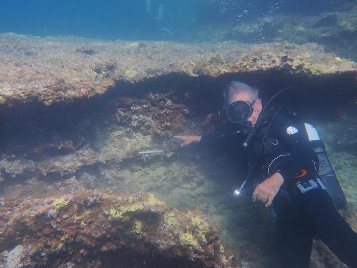 A diver wearing breathing apparatus and a mask is underwater, standing near a rock, pointing at an archaeological find.