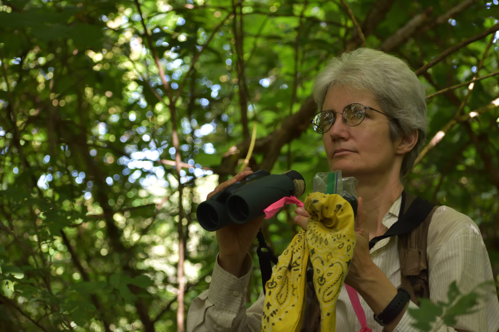Meet the capuchin monkey: Curious, creative and vengeful - The Leakey ...