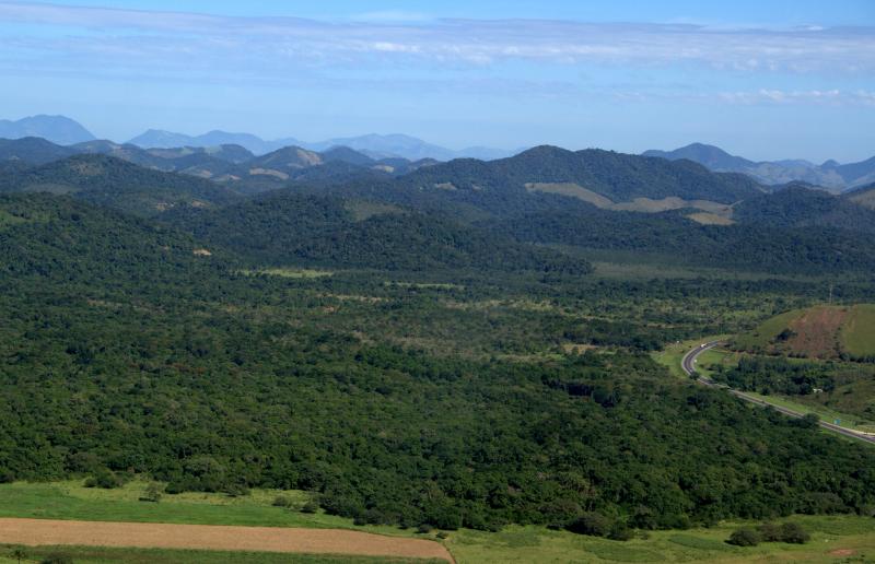 A view of the Poรงo das Antas Biological Reserve. A green forest with a road to the right and mountains behind.