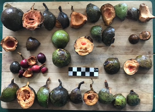 pieces of fruit on a wooden table
