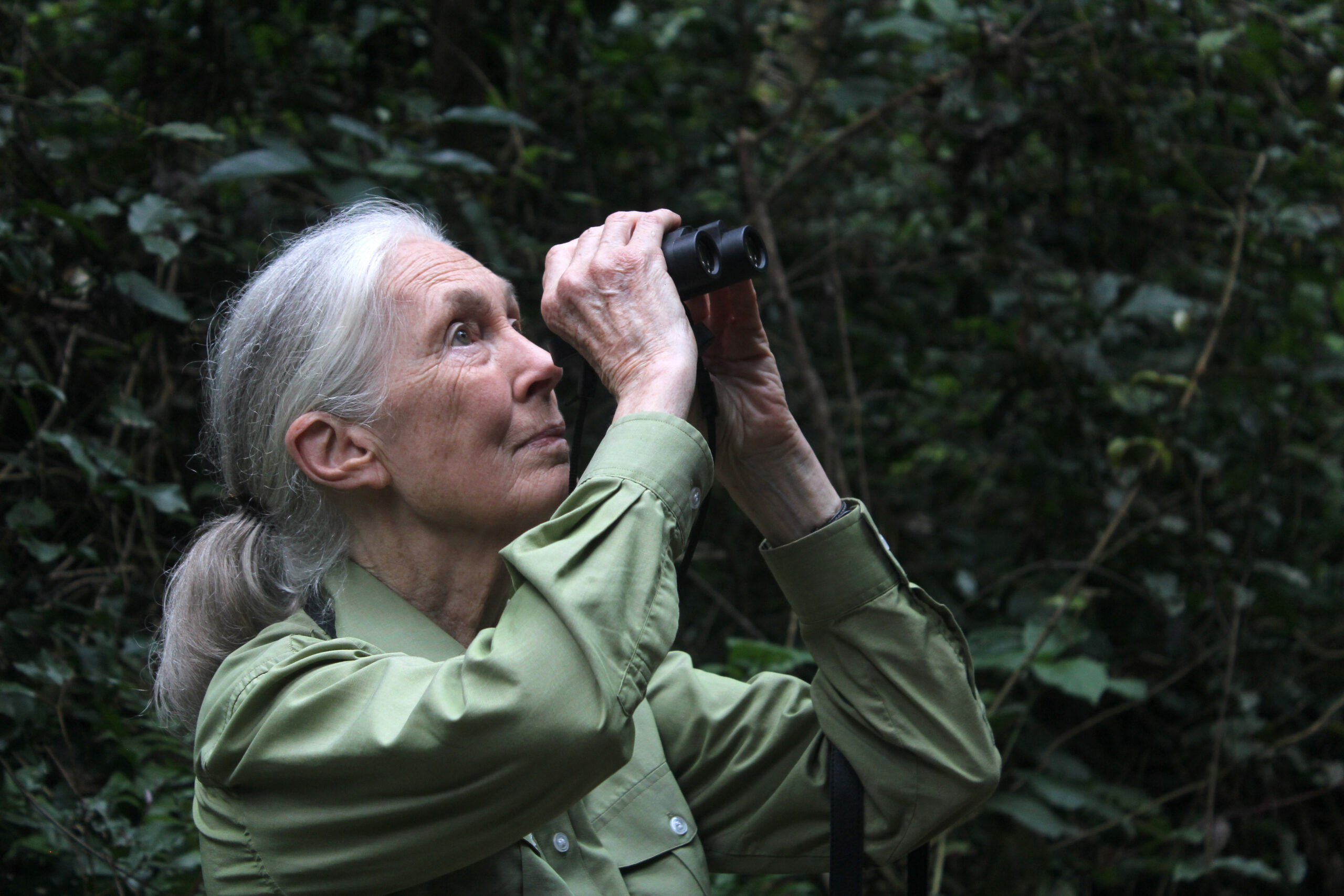 Jane Goodall in Gombe National Park, looking through binoculars.