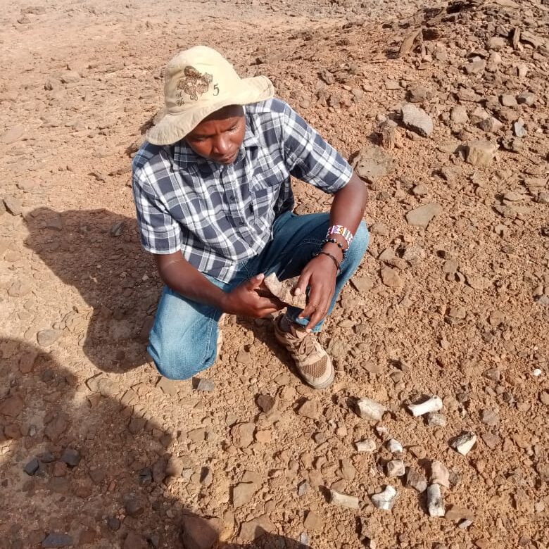 Sylvester Musyoka examining large mammal bones at the Lothagam site 