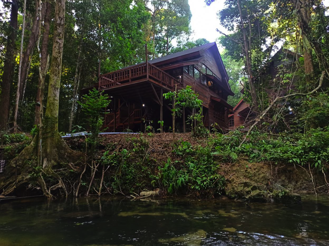 Caban Panti Research Station in the forest near water.