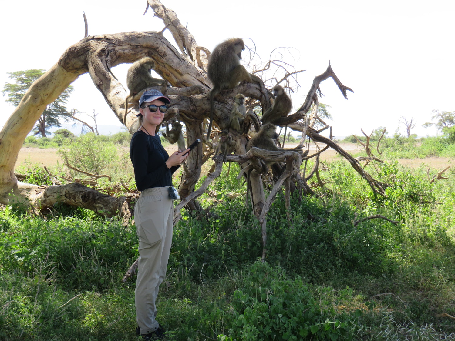 Maria Chreighton standing in green vegetation watching baboons in a skeletal tree.