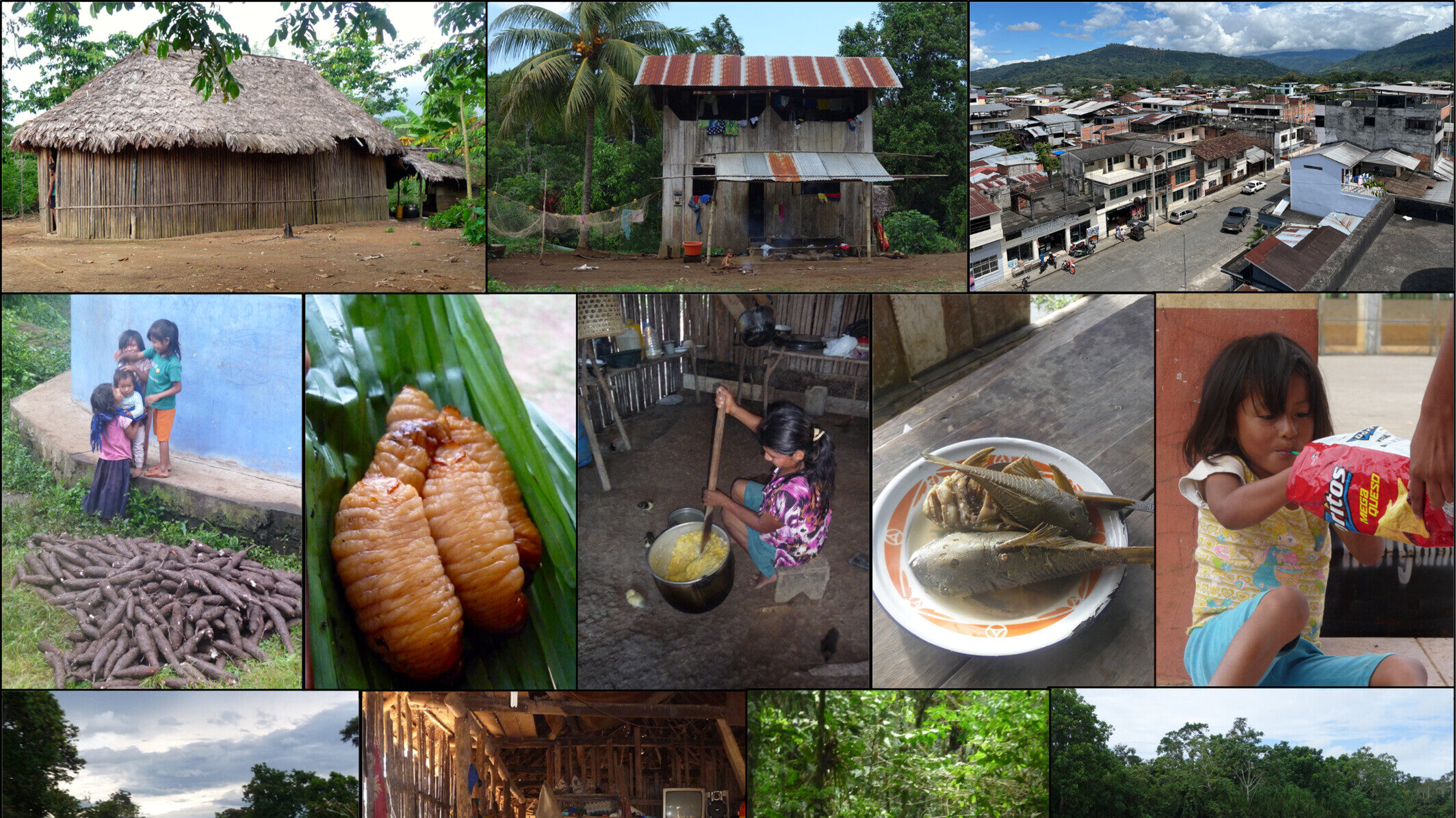 Collage from the Shuar research project