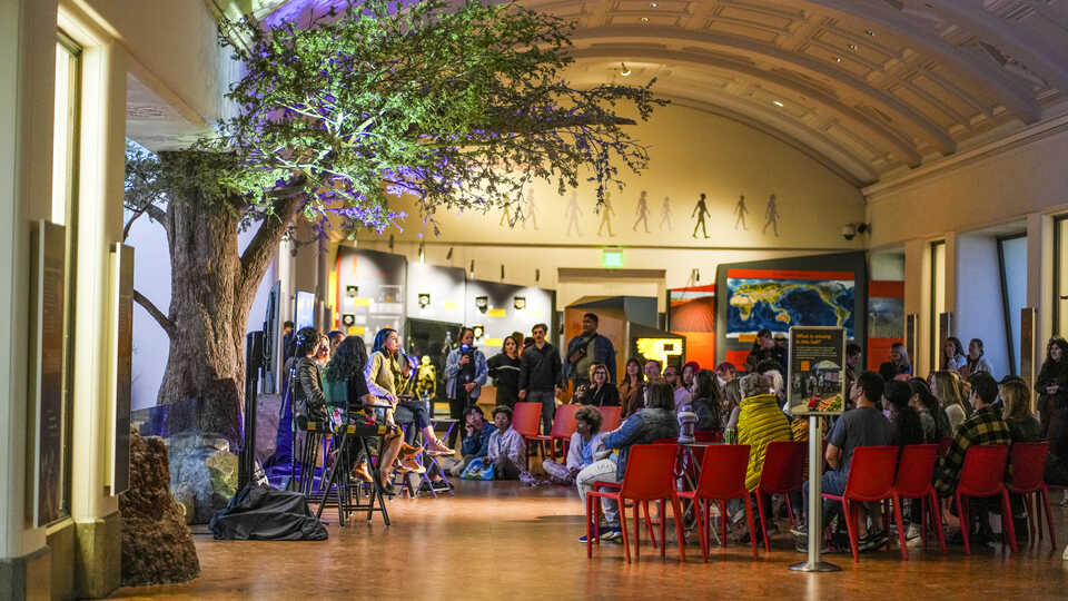 nl_2661x1774_sayswho_african-hall-panel-dsc08635_nr_cas_230630