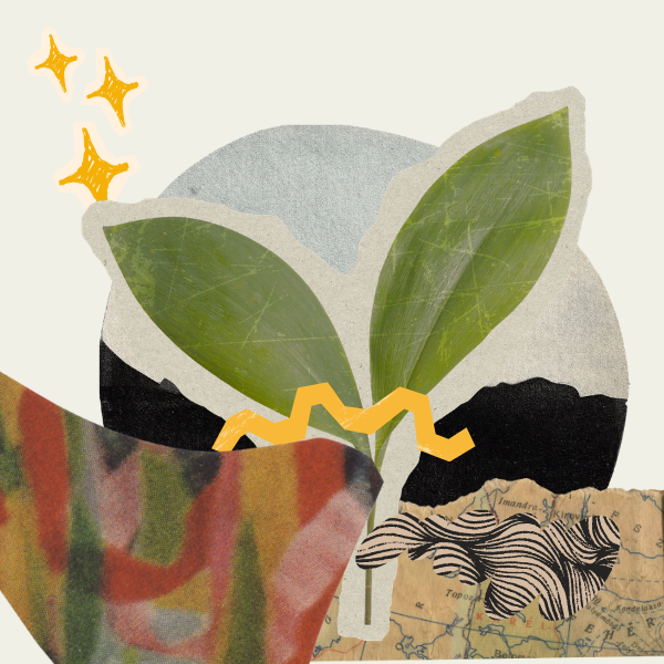 Workshop a collage with a green sprout in the center